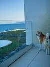 aryssa614 Altpins Profile Picture