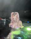ashley.scarr Altpins Profile Picture