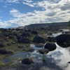astarwbry_ Altpins Profile Picture