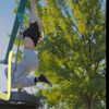 astarwbry_ Altpins Profile Picture