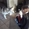 astarwbry_ Altpins Profile Picture