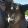 astarwbry_ Altpins Profile Picture