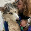 astarwbry_ Altpins Profile Picture