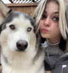 astarwbry_ Altpins Profile Picture