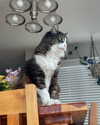 astarwbry_ Altpins Profile Picture
