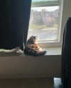 astarwbry_ Altpins Profile Picture