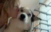 astarwbry_ Altpins Profile Picture