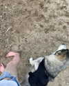 astarwbry_ Altpins Profile Picture
