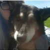 astarwbry_ Altpins Profile Picture