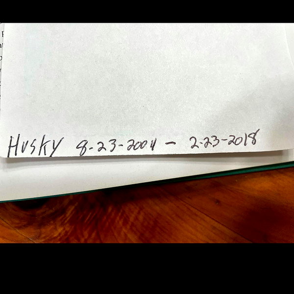 astarwbry_ instagram image archive image