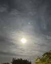 astarwbry_ Altpins Profile Picture