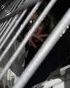astarwbry_ Altpins Profile Picture