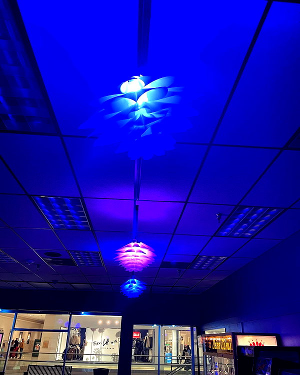 astarwbry_ instagram image archive image