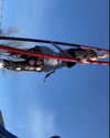 astarwbry_ Altpins Profile Picture