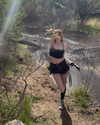 astarwbry_ Altpins Profile Picture