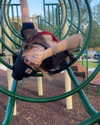 astarwbry_ Altpins Profile Picture