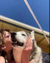 astarwbry_ Altpins Profile Picture