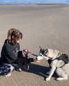 astarwbry_ Altpins Profile Picture