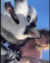 astarwbry_ Altpins Profile Picture