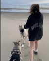 astarwbry_ Altpins Profile Picture