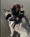 astarwbry_ Altpins Profile Picture