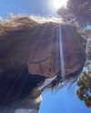 astarwbry_ Altpins Profile Picture