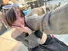 astarwbry_ Altpins Profile Picture