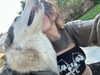 astarwbry_ Altpins Profile Picture