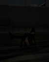 astarwbry_ Altpins Profile Picture