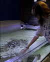 astarwbry_ Altpins Profile Picture