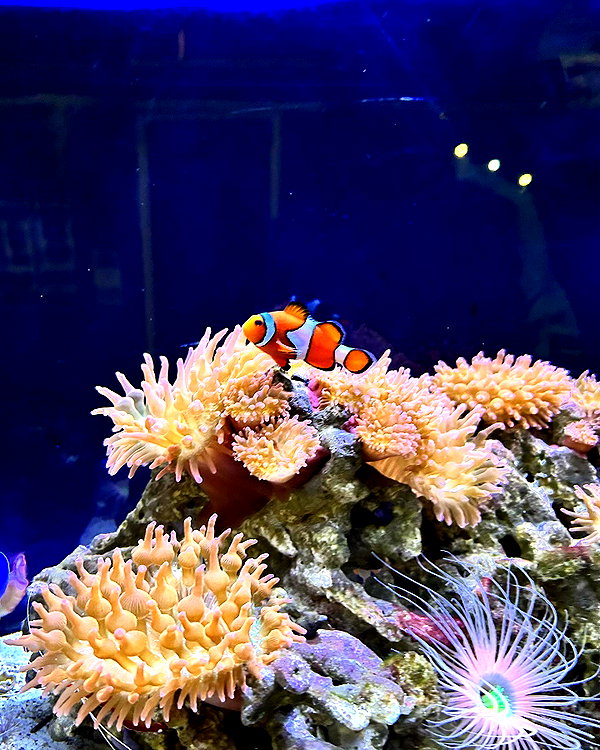 astarwbry_ instagram image archive image