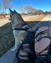 astarwbry_ Altpins Profile Picture