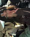 astarwbry_ Altpins Profile Picture