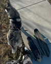 astarwbry_ Altpins Profile Picture