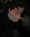 astarwbry_ Altpins Profile Picture