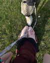 astarwbry_ Altpins Profile Picture
