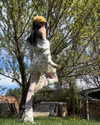 astarwbry_ Altpins Profile Picture