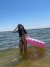 astarwbry_ Altpins Profile Picture