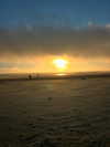 astarwbry_ Altpins Profile Picture