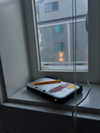astarwbry_ Altpins Profile Picture