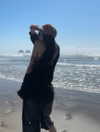 astarwbry_ Altpins Profile Picture