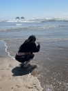 astarwbry_ Altpins Profile Picture