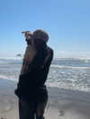astarwbry_ Altpins Profile Picture