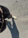 astarwbry_ Altpins Profile Picture