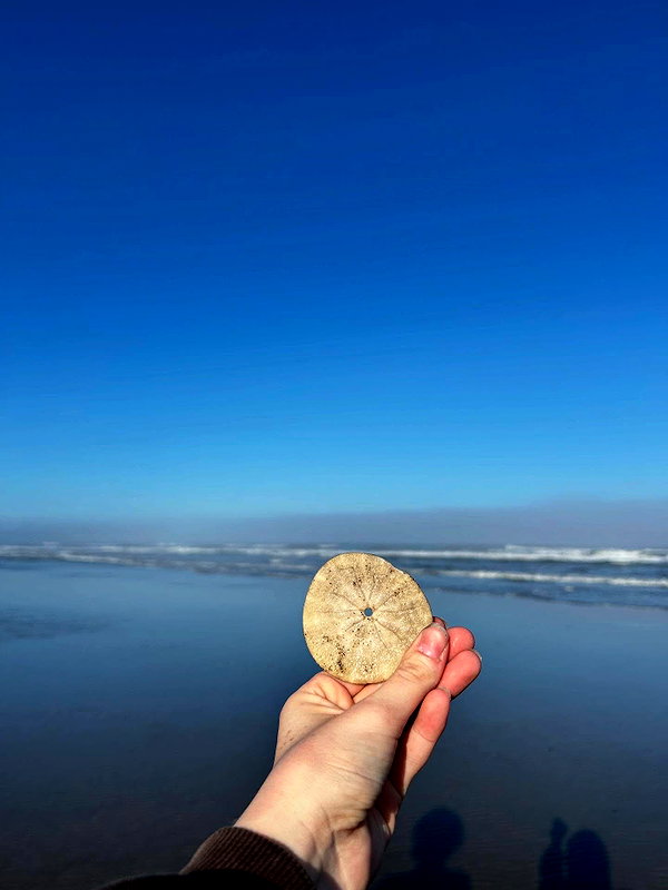 astarwbry_ instagram image archive image