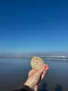 astarwbry_ Altpins Profile Picture