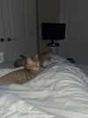 astarwbry_ Altpins Profile Picture