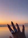 astarwbry_ Altpins Profile Picture