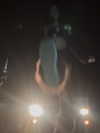 astarwbry_ Altpins Profile Picture