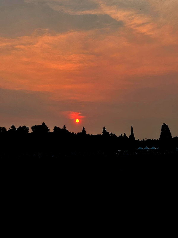 astarwbry_ instagram image archive image